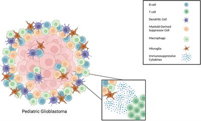 Myeloid cells as potential targets for immunotherapy in pediatric gliomas